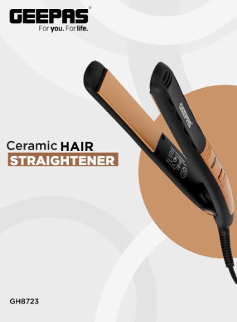 Imagen oficial de Hair Straightener publicada por OECD