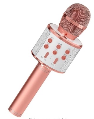Imagen oficial de Wireless microphone publicada por OECD