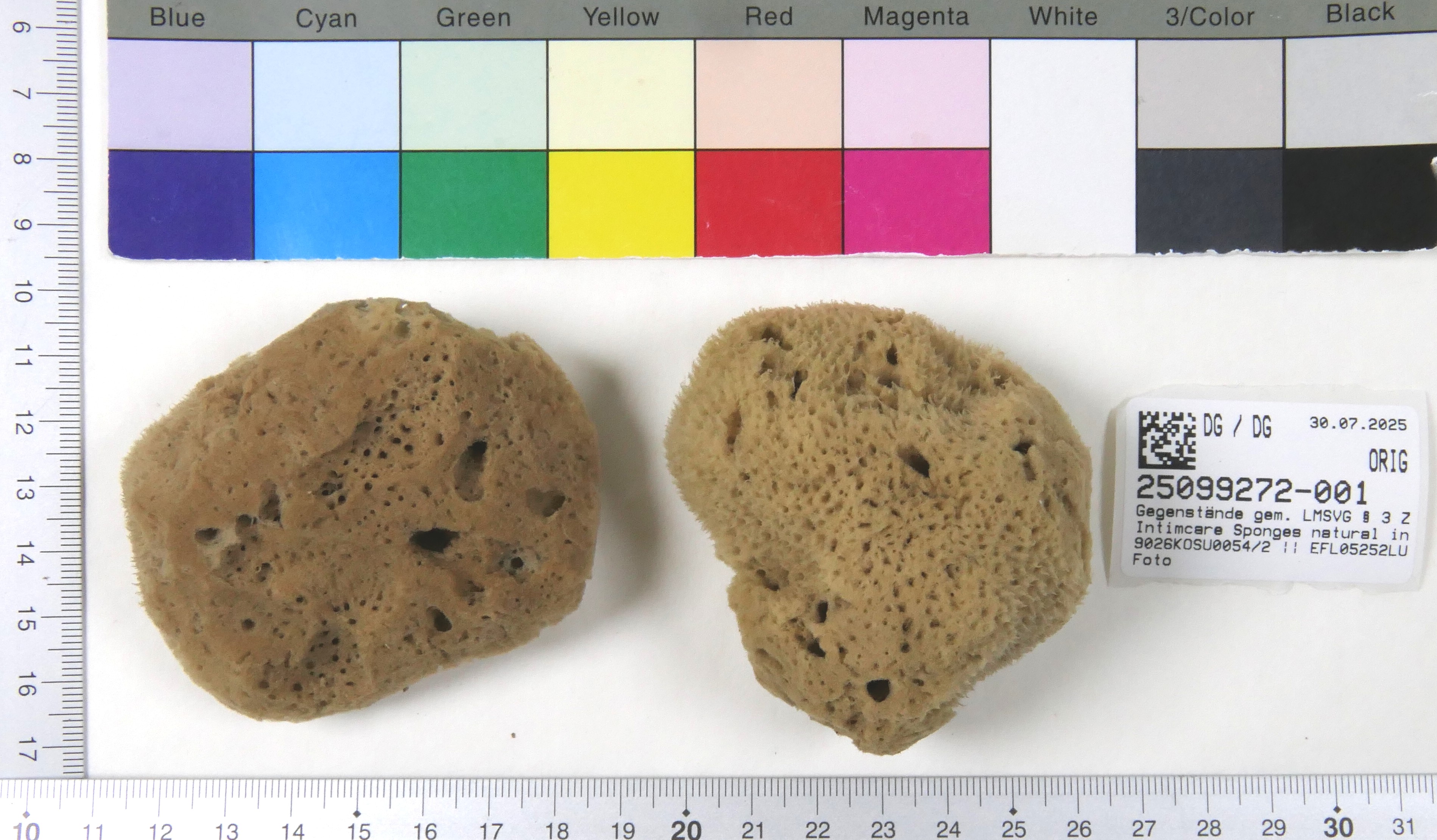 Imagen oficial de Sponges for intimate care ; natural intimacy ; Intimcare Sponges publicada por OECD 4