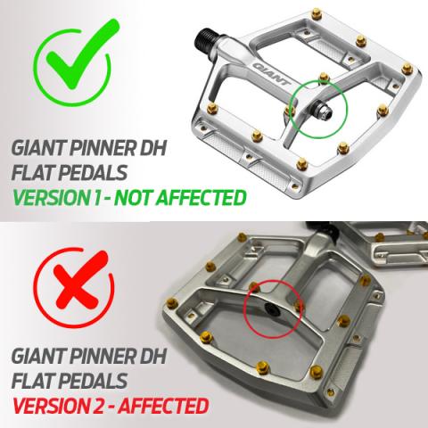 Imagen oficial de Pinner DH Flat Pedals publicada por OECD