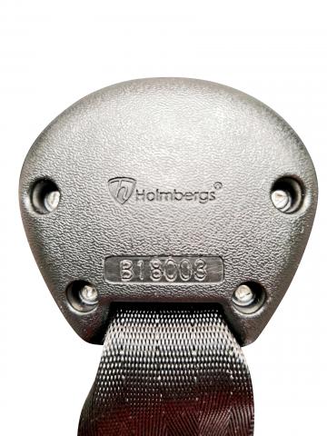 Imagen oficial de Holmbergs Buckles fitted to Joie i-Gemm Capsule publicada por OECD 2