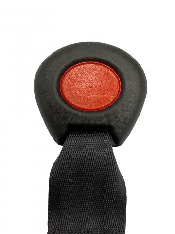 Imagen oficial de Holmbergs Buckles fitted to Joie i-Gemm Capsule publicada por OECD