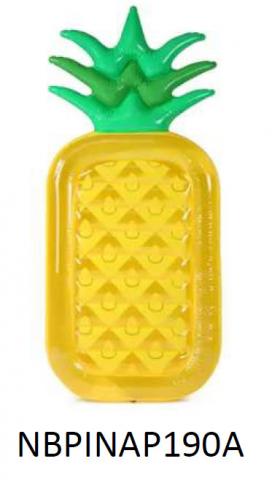 Imagen oficial de Inflatable Pool Floats publicada por OECD 5