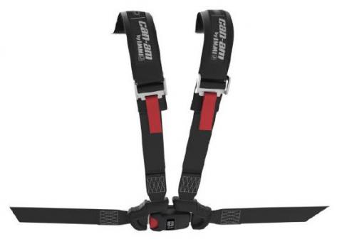 Imagen oficial de IMMI 4-Point Harness publicada por OECD