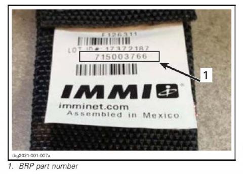 Imagen oficial de IMMI 4-Point Harness publicada por OECD 2