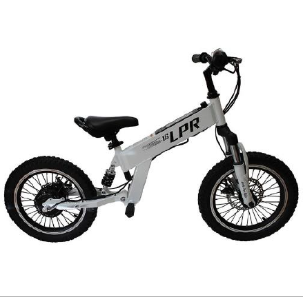 Imagen oficial de LPR12 Electric Bike Version 1 and LPR16 Electric Bike publicada por OECD 2