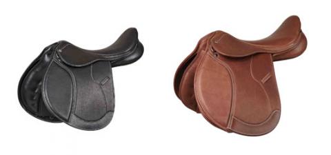 Imagen oficial de Collegiate Saddles publicada por OECD