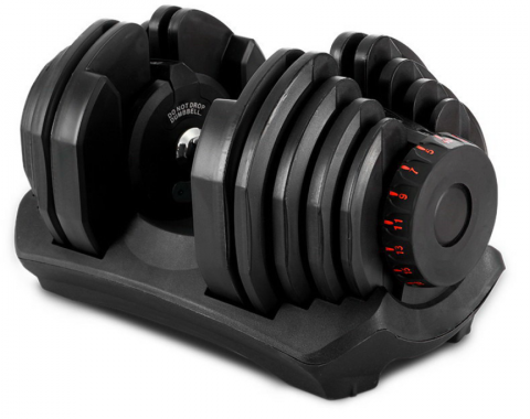 Imagen oficial de Adjustable Dumbbell Set publicada por OECD