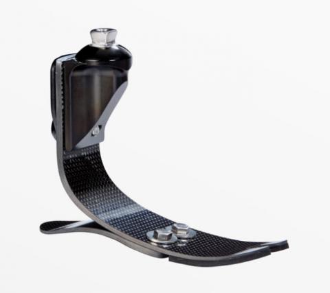 Imagen oficial de Vari-Flex Junior Foot Prosthesis publicada por OECD