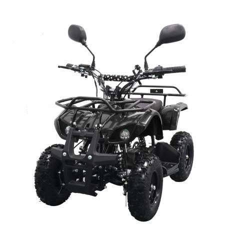 Imagen oficial de 49CC, 125CC 250CC Quadbike publicada por OECD 3