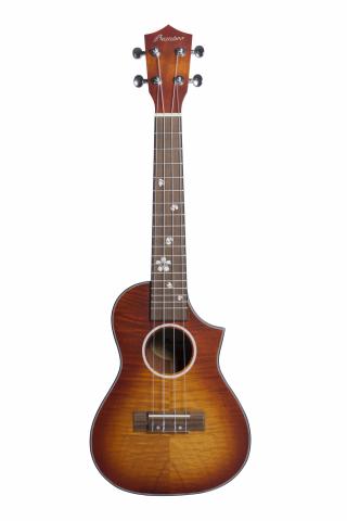 Imagen oficial de Various Bamboo Ukes publicada por OECD