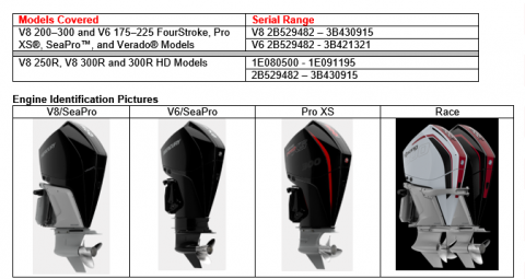 Imagen oficial de V8 200–300 HP and V6 175–225 HP FourStroke, Pro XS®, SeaPro™ and Verado® Model outboard engines and V8 250R, V8 300R and 300R HD Model outboard engines publicada por OECD