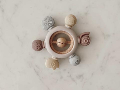 Imagen oficial de Various rattles, teethers and wooden shaker toys publicada por OECD 4