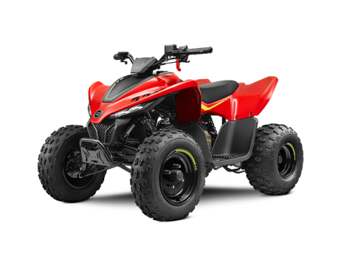 Imagen oficial de CFMOTO CF110AY Youth ATV (updated) publicada por OECD 2