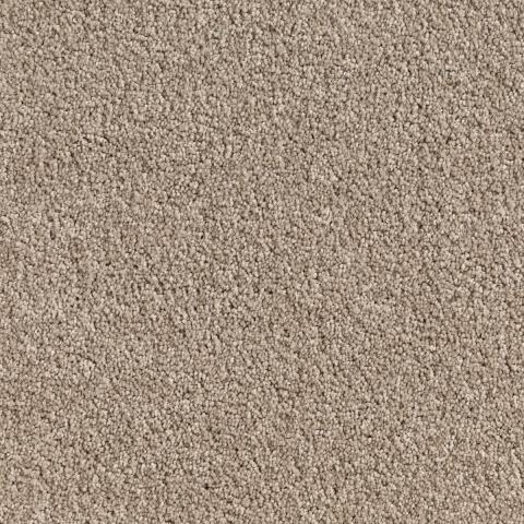 Imagen oficial de Quest Carpets – assorted colours and styles publicada por OECD 2