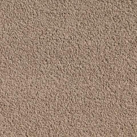 Imagen oficial de Quest Carpets – assorted colours and styles publicada por OECD 4