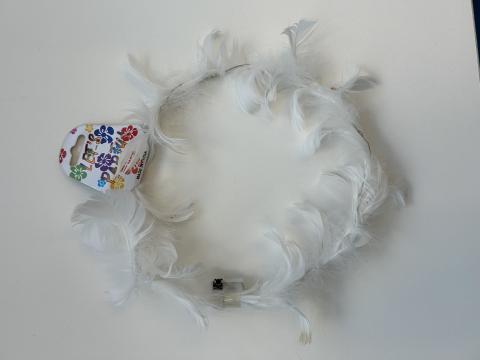 Imagen oficial de Light up feather crown publicada por OECD
