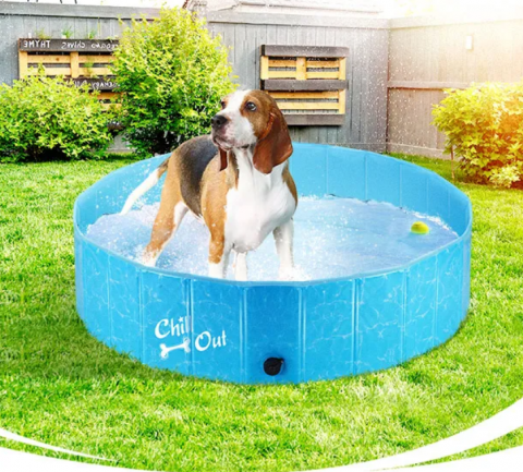 Imagen oficial de Pet sprinkler fun mat and fun dog pool publicada por OECD 2