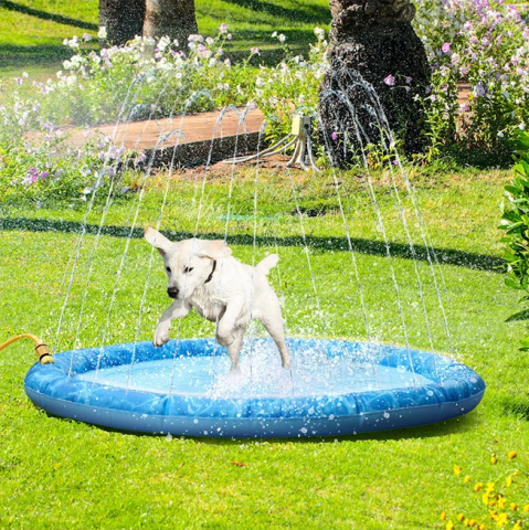 Imagen oficial de Pet sprinkler fun mat and fun dog pool publicada por OECD