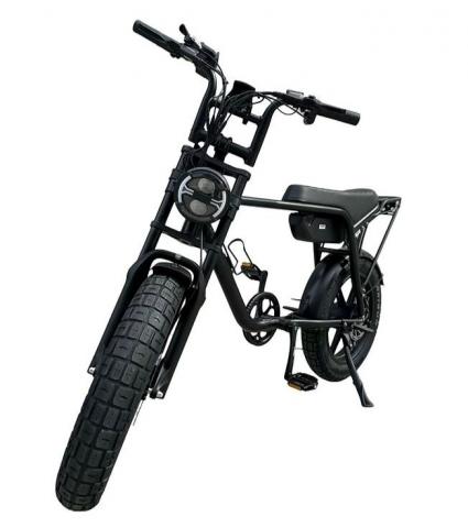 Imagen oficial de Mamba Sahara EBIKE publicada por OECD 2
