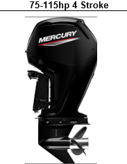 Imagen oficial de 75-150 HP FourStroke, SeaPro and Pro XS outboard engines (updated) publicada por OECD