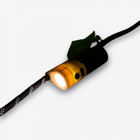 Imagen oficial de Paws For Life LED Dog Lead publicada por OECD 4