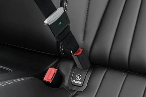 Imagen oficial de ISOFIX Latch Interface Seat Belt Extenders publicada por OECD 3