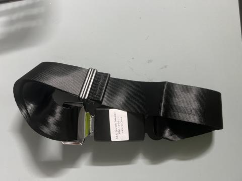Imagen oficial de Adult Seatbelt Extender publicada por OECD 3