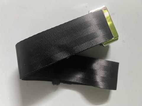 Imagen oficial de Adult Seatbelt Extender publicada por OECD
