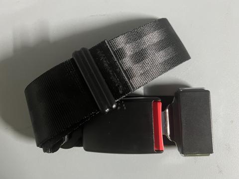 Imagen oficial de Adult Seatbelt Extender publicada por OECD 2