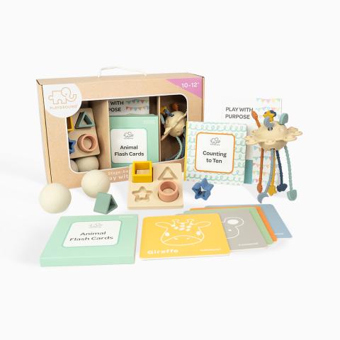Imagen oficial de Playground Plus Box 4: Play With Purpose 10-12m toy box publicada por OECD