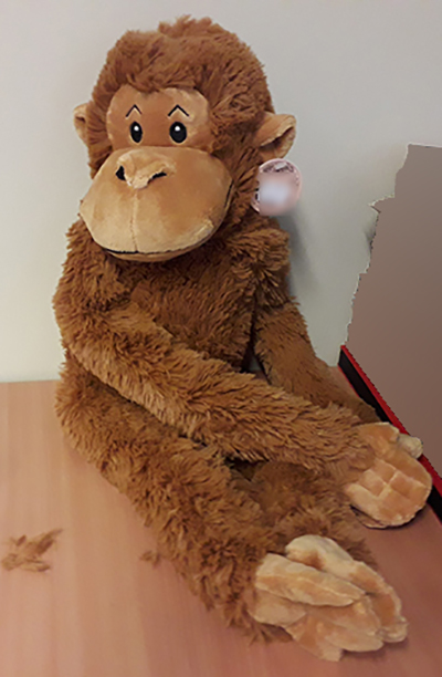 Imagen oficial de Soft toy ; Unknown ; publicada por OECD