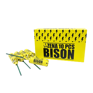 Imagen oficial de Fireworks ; Zena ; Bison publicada por OECD