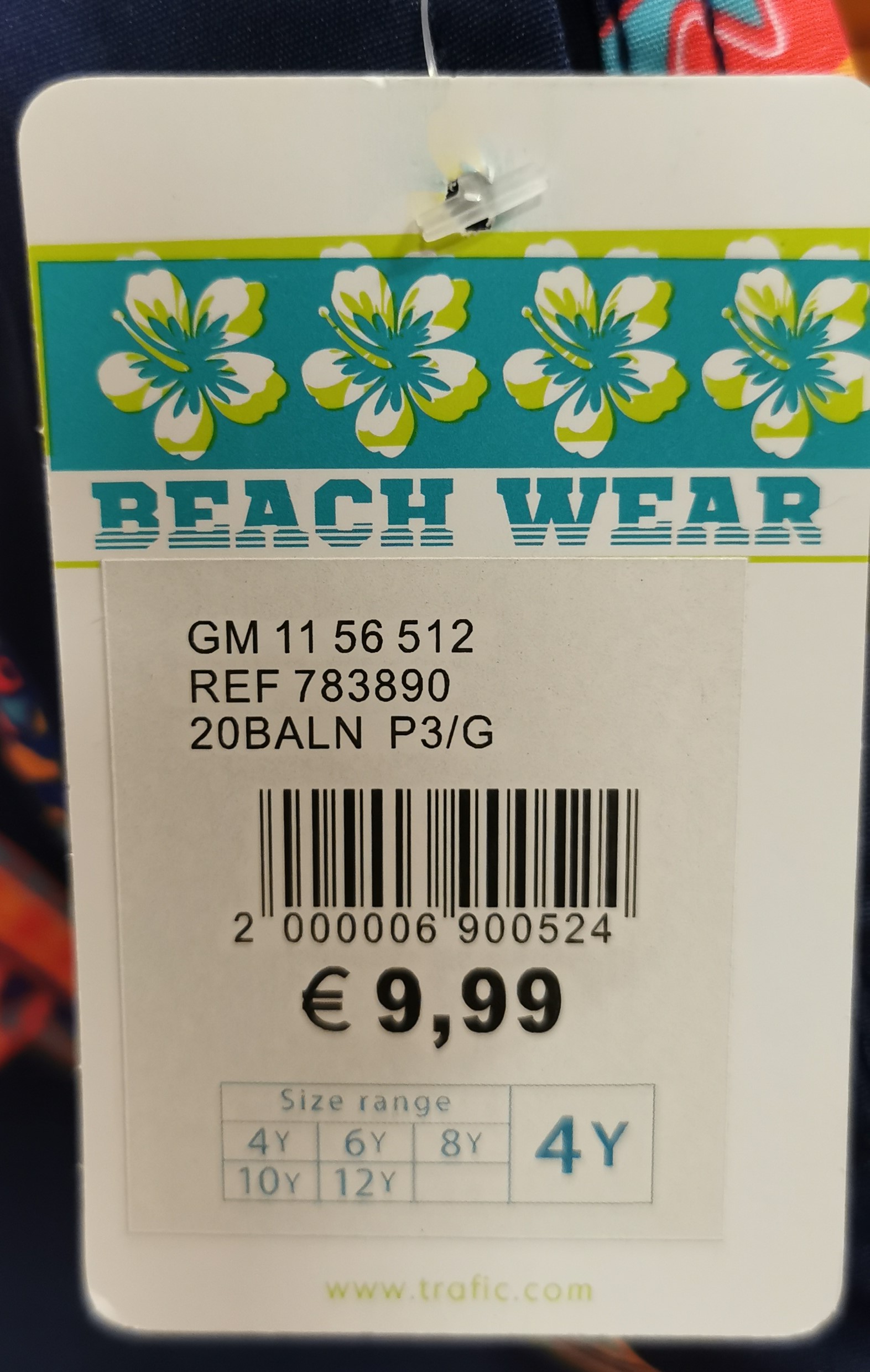 Imagen oficial de Swimming trunks ; Beach Wear ; publicada por OECD
