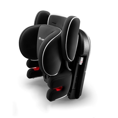 Imagen oficial de Reyi Portable Children Car Seat publicada por OECD 2