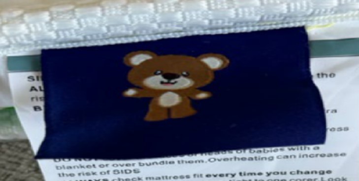 Imagen oficial de VIVIDVIBEBEARPAS Playyard Mattresses publicada por OECD 2