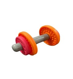 Imagen oficial de Dumbbell Toy from the Fisher-Price Baby Biceps Gift Set publicada por OECD