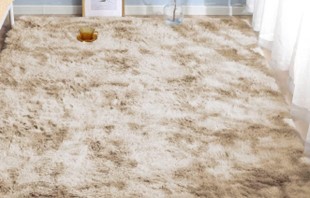Imagen oficial de ROCYJULIN Area Rugs publicada por OECD 3