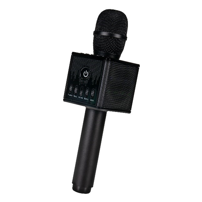 Imagen oficial de First Act America’s Got Talent Microphone publicada por OECD 2