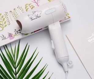 Imagen oficial de Various Hair Dryers sold on AliExpress.com publicada por OECD 5