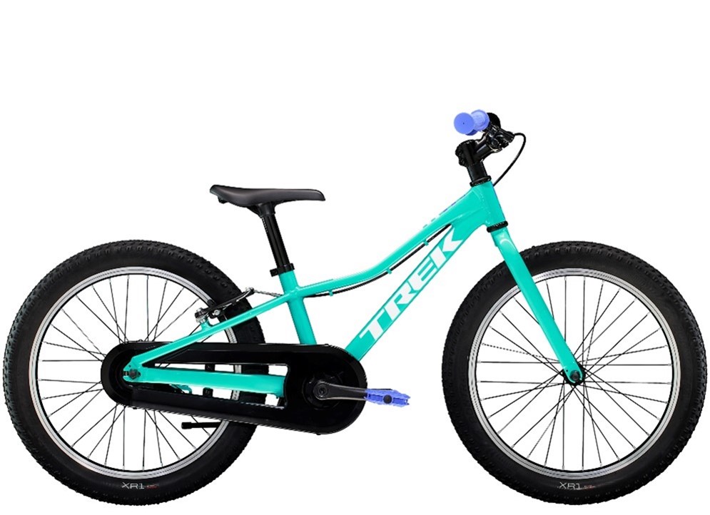 Imagen oficial de Trek and Electra brand bicycles publicada por OECD 10