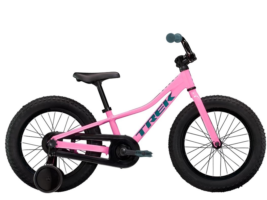 Imagen oficial de Trek and Electra brand bicycles publicada por OECD 5