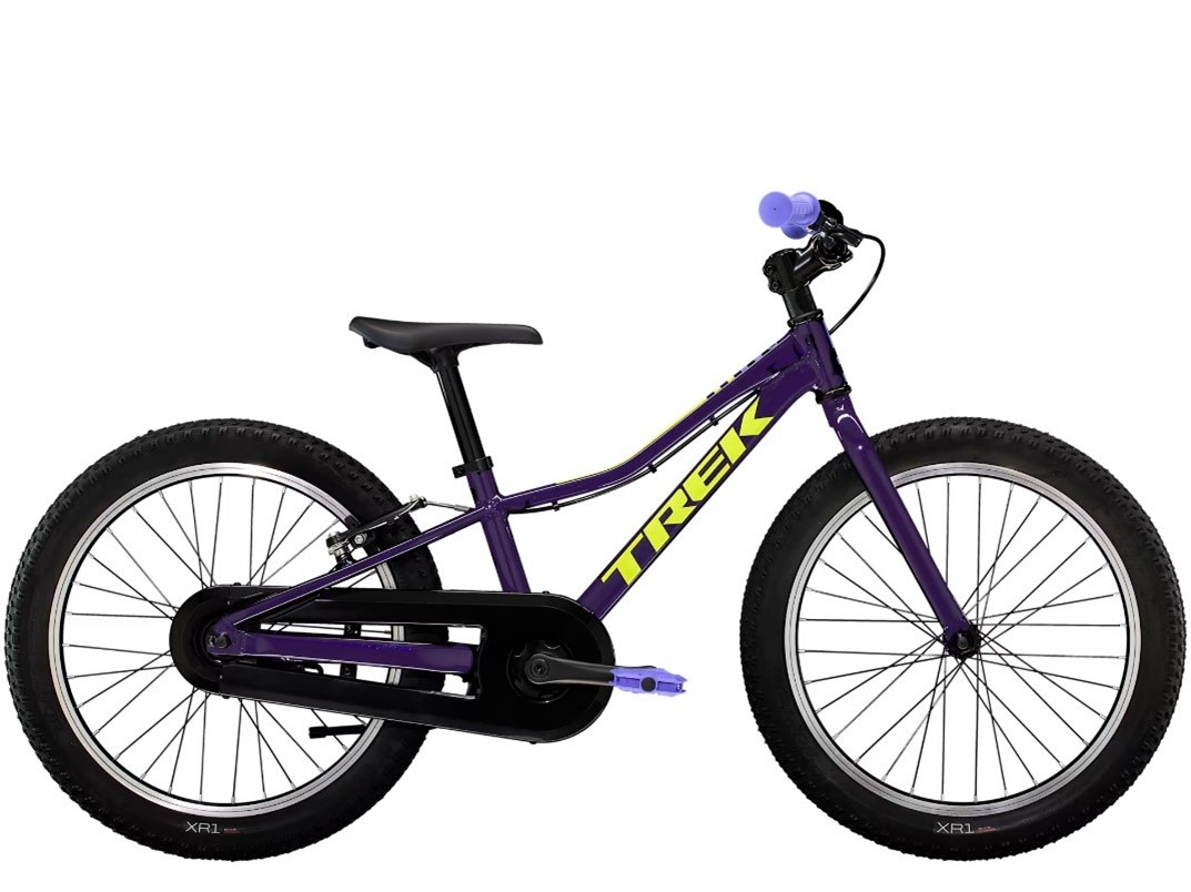 Imagen oficial de Trek and Electra brand bicycles publicada por OECD 9