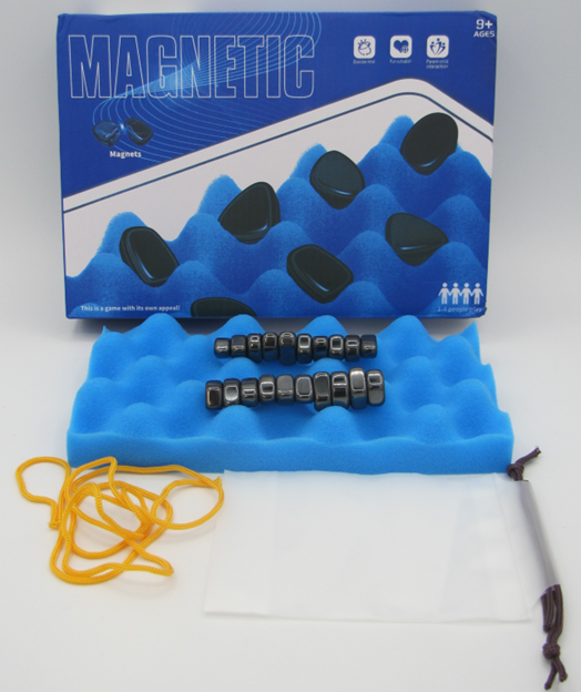Imagen oficial de Magnetic Chess Game publicada por OECD 2