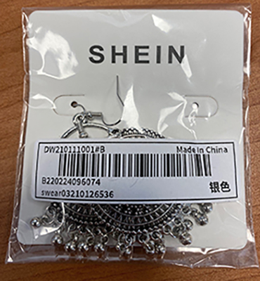 Official image of Earrings ; Shein ; Sliver Hollow Vintage Earrings published by OECD 2