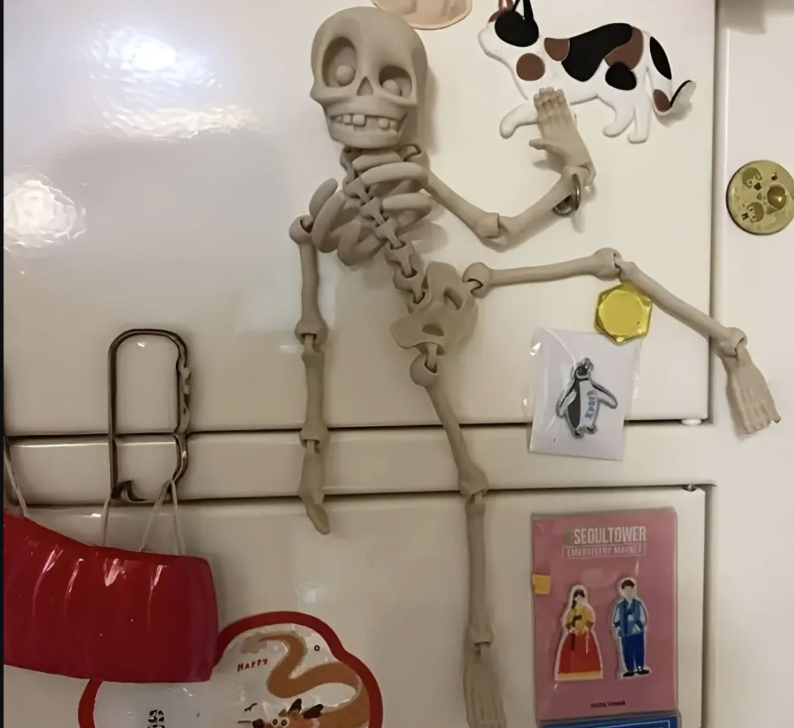 Official image of Toy magnet ; Unknown ; Skeleton refrigerator magnet published by OECD