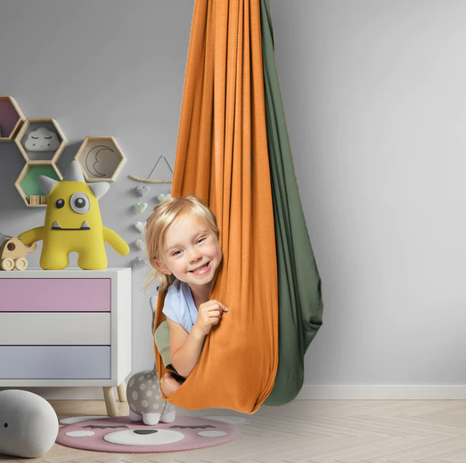 Official image of Sensory swing ; Savoiz ; Sensory swing published by OECD 3