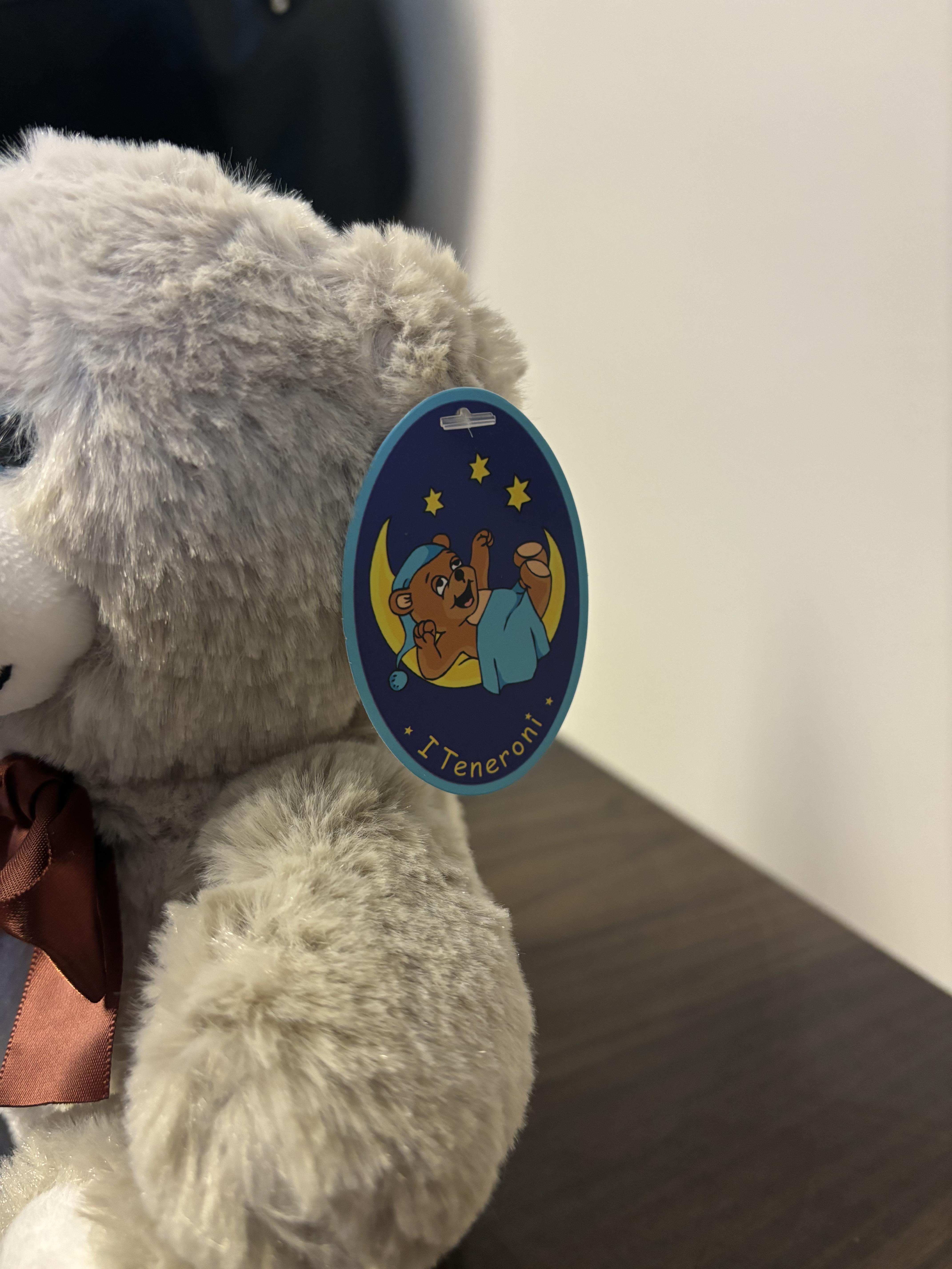 Official image of Soft toy ; I teneroni ; Orso peluche published by OECD