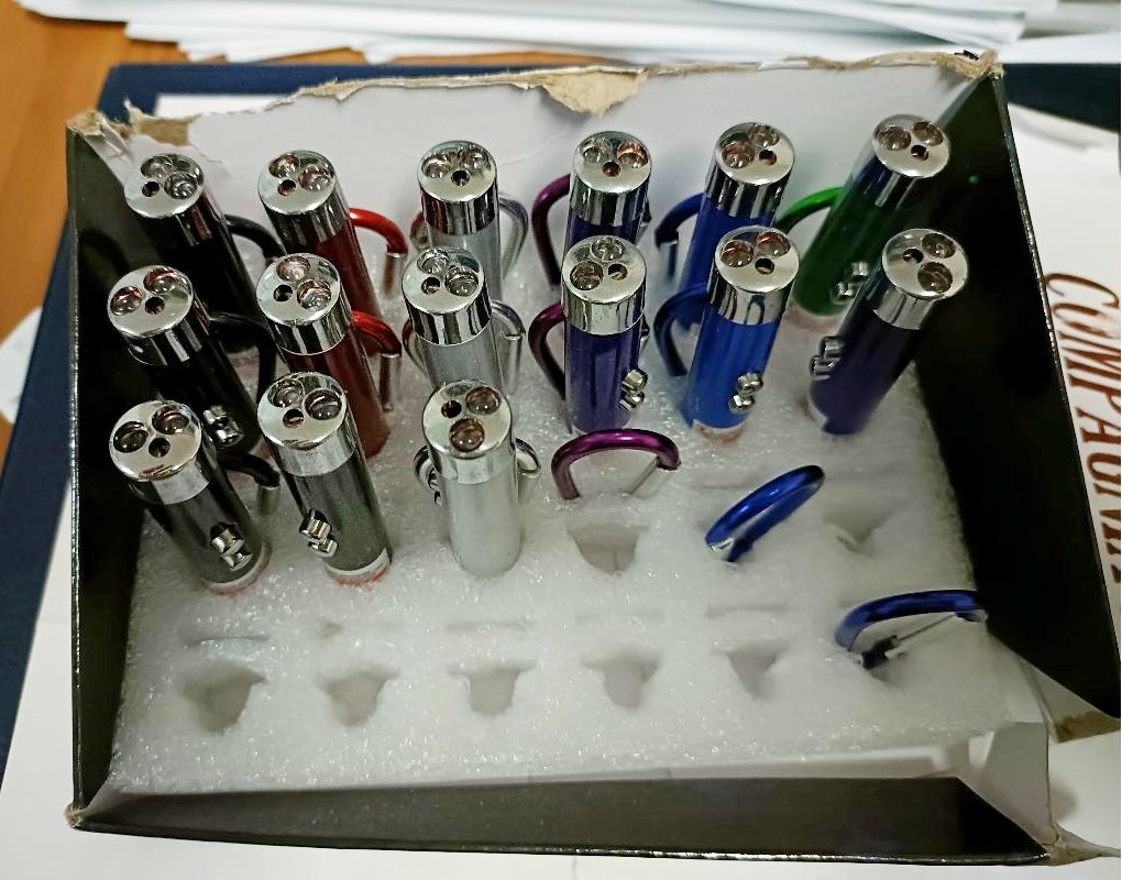 Official image of Laser pointer ; Unknown ; 2 in 1 Laser e luce published by OECD 4