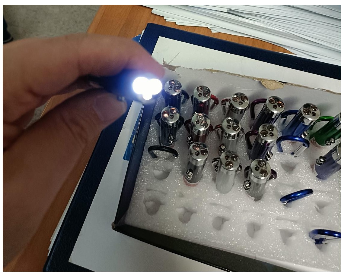 Official image of Laser pointer ; Unknown ; 2 in 1 Laser e luce published by OECD 6